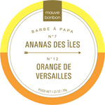 Load image into Gallery viewer, Summer 2024 : Ananas des îles / Orange de versailles
